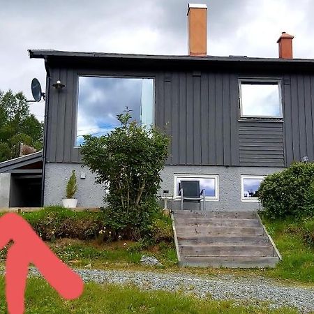 Aurora Rooms In Shared Hsuse Nr3 We Are Doing Northen Lights Trip, Reaindear Trip And Sommaroy Fjord Trips Τρόμσο Εξωτερικό φωτογραφία